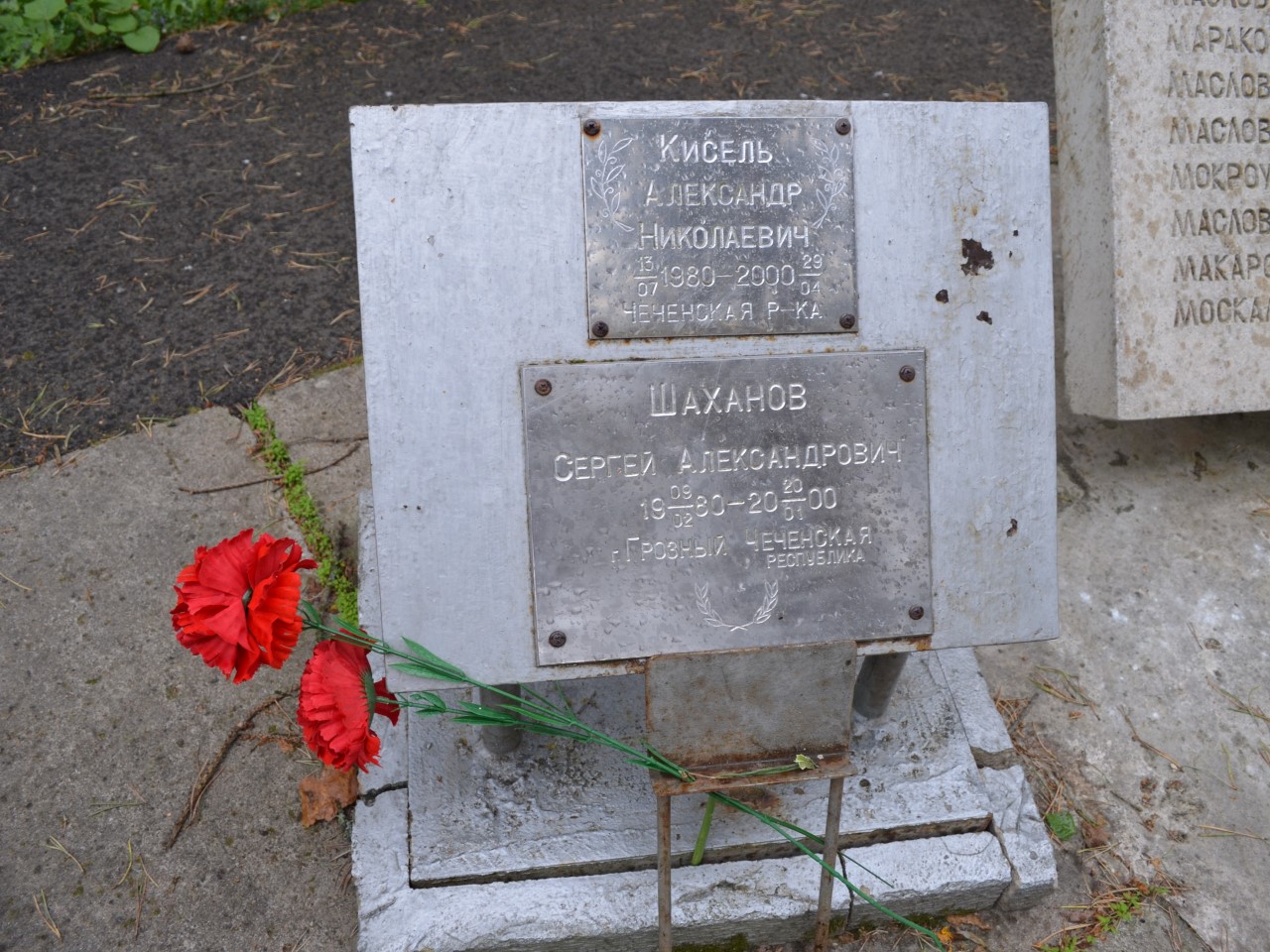 Памятник павшим воинам в д.Погорелово 3